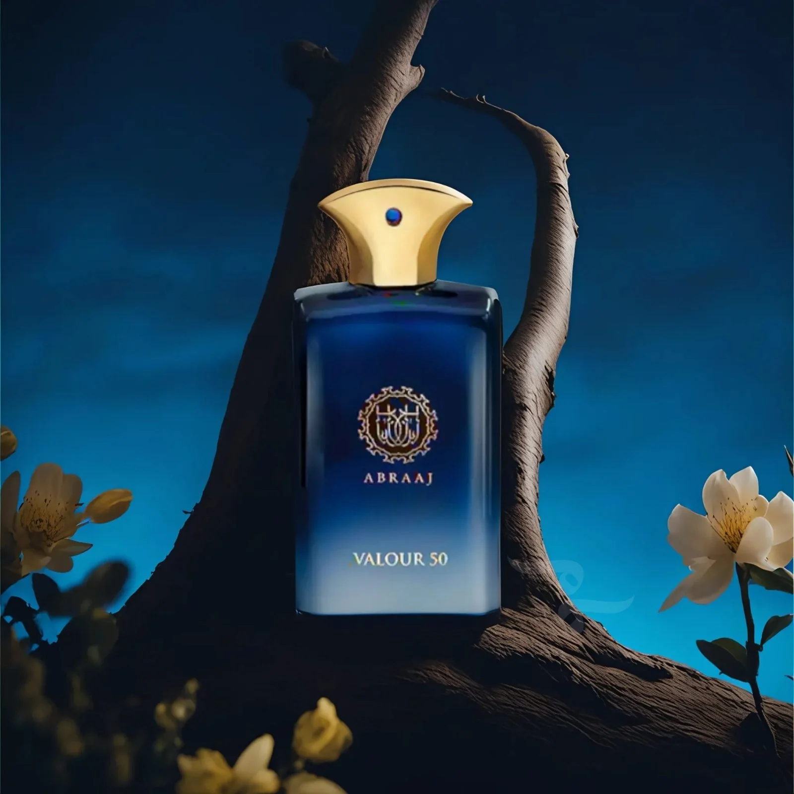 Abraaj Valour 50