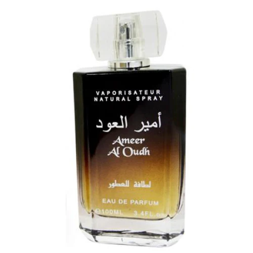 Ameer Al Oud - Image 4