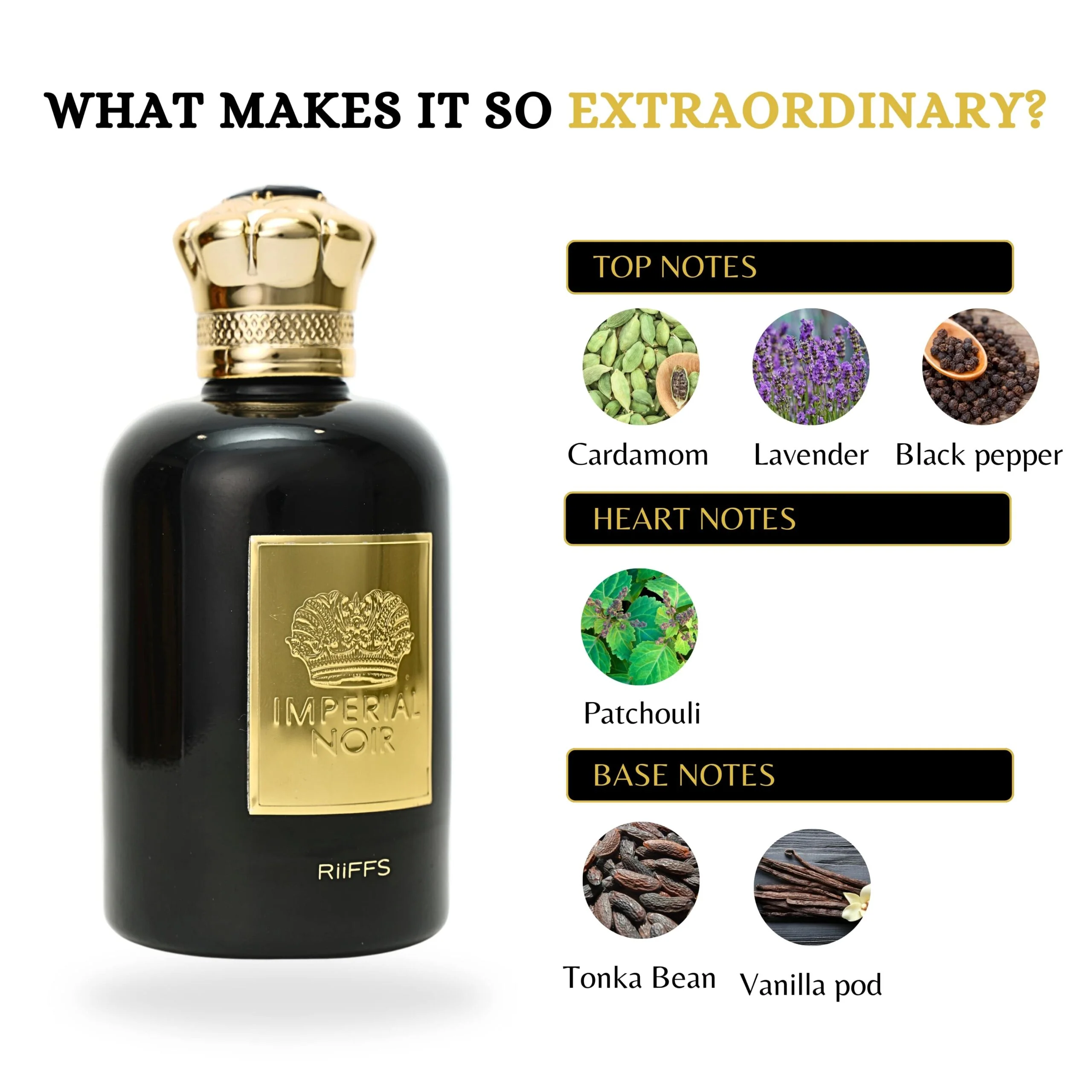 Inspiro Men 100ml EDP By Riiffs