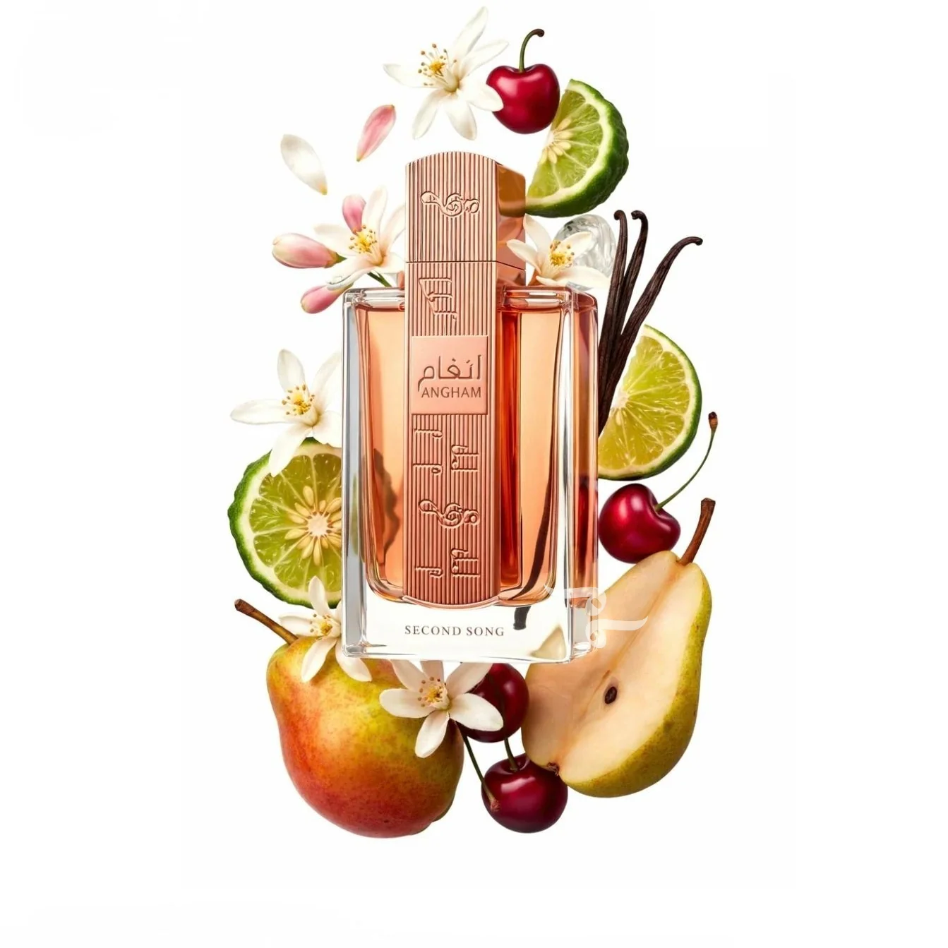 Angham Second Song 100ml EDP By Lattafa - Image 2