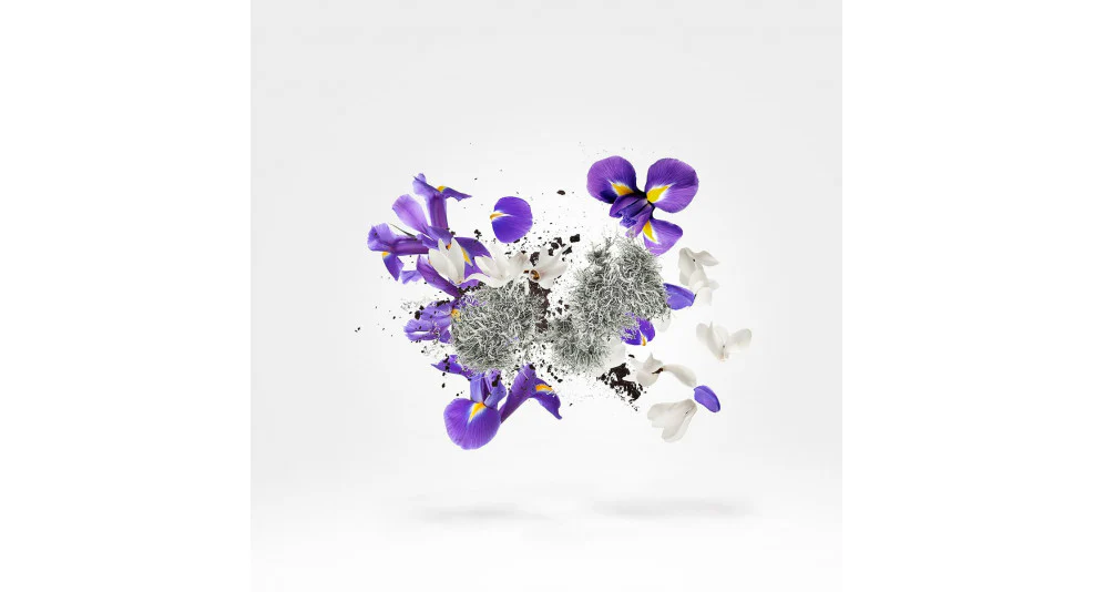 50ml Shooting Stars Apollonia EDP By Xerjoff - Image 2